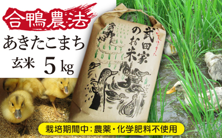 《令和５年度産》武田家のお米 あきたこまち（玄米）５kg＜合鴨農法＞【米農家 仁左ェ門】 / 米 げんまい ５キロ アイガモ
