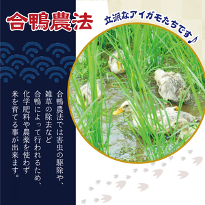 《令和５年度産》武田家のお米 銀河のしずく（精米）５kg＜合鴨農法＞【米農家 仁左ェ門】 / 米 白米 ５キロ アイガモ