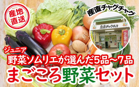 AY-001 滝沢まごころ野菜セット(7品から10品)【滝沢産業開発】