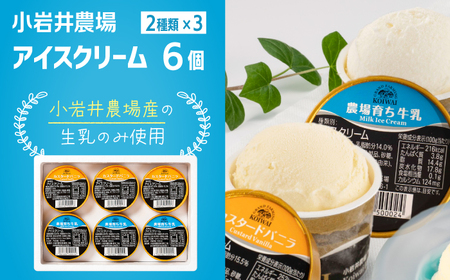 H-035 小岩井農場 アイスクリームセット 合計6個 滝沢市ふるさと納税