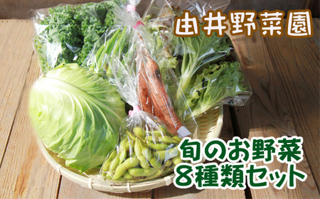BH-001 旬のお野菜8種類セット《農薬・化学肥料不使用》【由井野菜園】