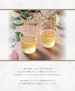 【ベアレン醸造所】 Our Hour ドライシードル 330ml 瓶 6本セット ／ ワイン シードル りんご 林檎