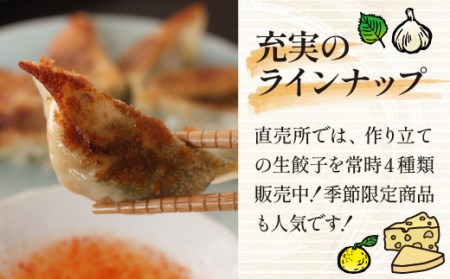 【生餃子専門店】 冷凍生餃子 5種類 64個 (餃子のタレ付) 食べ比べセット！ 国産豚肉 国産野菜