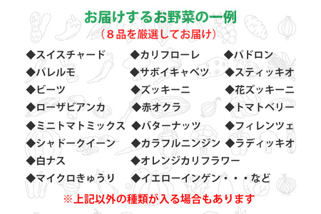 【 2026年 9月より順次発送】 野菜ソムリエ “産直松の実の松原店長” 厳選 ！ ヨーロッパ 野菜 BOX 8品 ／ 人気 産直 採れたて 新鮮野菜 季節野菜 夏野菜 国産 産地直送 期間限定 数量限定 仕送り 詰合わせ 詰め合わせ 詰め合せ 詰合せ セット おすすめ 予約 予約受付 早期予約