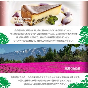 【 2026年 3月より発送開始】東北最大級のガーデニング専門店 厳選 『季節の寄せ植え』 4種類 ～ 6種類 【花工房らら倶楽部】 花 生花 フラワー 植物 観葉植物 寄せ植え 季節 鉢植え 鉢 ポット ガーデニング 庭 玄関 ベランダ 国産 産地直送 期間限定 人気 おすすめ 予約 早期予約 先行予約 [V-003-B]