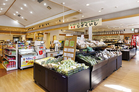 雫石純蜂蜜 アカシア 500g 1本 【あねっこ】 純粋 蜂蜜 はちみつ ハチミツ ハニー ５００ｇ １本 国産 国内産 日本産 ボトル 長期保存 産地直送 アカシヤ 蜜 みつ ミツ 人気 稀少 希少 お取り寄せ プレゼント 贈り物 仕送り 家庭用 自宅用 常温発送 調味料 隠し味 おすすめ