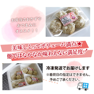 最高級 国産地鶏 南部かしわ 使用 焼売 20個 【九戸屋肉店】 鶏肉 鳥肉 とりにく 鶏 鳥 とり 肉 にく しゅうまい シュウマイ シューマイ 冷凍食品 冷食 惣菜 総菜 中華 中華惣菜 中華総菜 点心 大きい ジャンボ おかず おつまみ 弁当 高級 国産 地鶏 贈り物 家庭用 自宅用 仕送り 人気 おすすめ