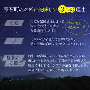 早期予約受付 【2025年10月発送開始】 新米 あきたこまち 玄米 約 20kg 【わかふじ農産】 ／ 米