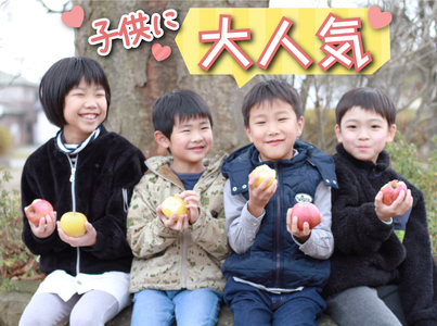 フルーツ大国！ 岩手県産 家庭用 りんご サンふじ 5kg 【谷地農園】 林檎 リンゴ アップル さんふじ サンフジ 果物 くだもの フルーツ 贈り物 仕送り 自宅用 冬 旬 新鮮 季節 国産 5キロ セット 詰め合わせ 詰合せ 詰め合せ 詰合わせ 人気 おすすめ