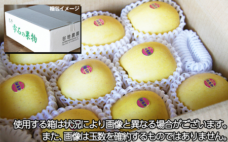 フルーツ大国！ 岩手県産 家庭用 りんご はるか 2.5kg 【谷地農園】 林檎 リンゴ アップル ハルカ 果物 くだもの フルーツ 贈り物 仕送り 自宅用 冬 旬 新鮮 季節 国産 2.5キロ セット 詰め合わせ 詰合せ 詰め合せ 詰合わせ 人気 おすすめ