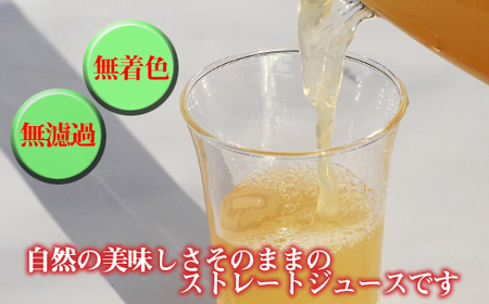 サンふじ リンゴジュース 1000ml 2本 ／ 果汁100％ ストレートジュース りんご 林檎 【谷地農園】