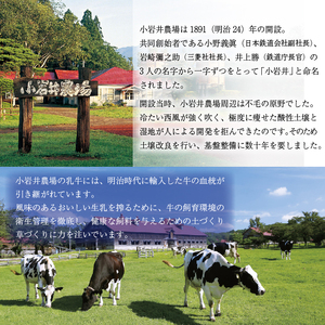 小岩井農場 純良醗酵 バターケーキ 2本 セット ／ 人気 スイーツ デザート おやつ お菓子 おかし 洋菓子 焼き菓子 焼菓子 バター ケーキ お取り寄せ ギフト プチギフト 贈答用 贈り物 プレゼント お祝い パーティー お土産 手土産 誕生日 記念日 常温発送 おすすめ