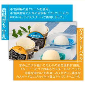 小岩井農場 アイスクリーム 6個 セット ／ 人気 スイーツ デザート アイス カスタード バニラ ミルク 牛乳 2種類 食べ比べ おやつ お菓子 おかし 個包装 小分け お取り寄せ ギフト プチギフト 贈答用 贈り物 プレゼント お祝い パーティー お土産 手土産 誕生日 記念日 冷凍 おすすめ