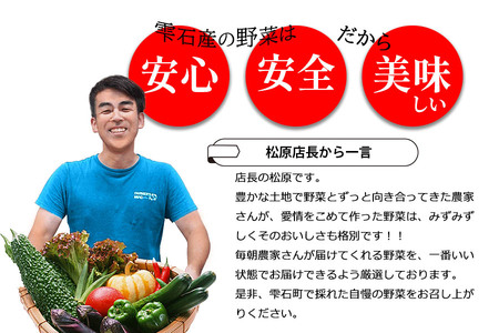 野菜ソムリエ “産直松の実の松原店長” 厳選 ！ 旬菜 朝採れ 野菜 BOX 8品 ～ 10品 ／ 人気 産直 採れたて 新鮮野菜 季節野菜 果物 くだもの やさい 国産 産地直送 仕送り 春 春野菜 夏 夏野菜 秋 秋野菜 冬 冬野菜 詰合わせ 詰め合わせ 詰め合せ 詰合せ セット おすすめ