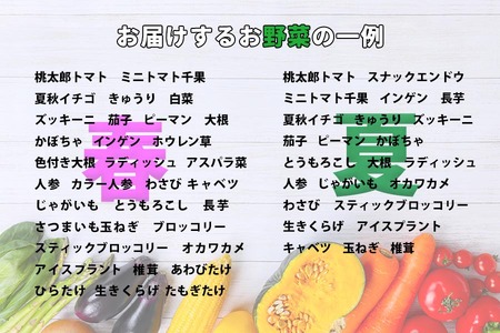 野菜ソムリエ “産直松の実の松原店長” 厳選 ！ 旬菜 朝採れ 野菜 BOX 8品 ～ 10品 ／ 人気 産直 採れたて 新鮮野菜 季節野菜 果物 くだもの やさい 国産 産地直送 仕送り 春 春野菜 夏 夏野菜 秋 秋野菜 冬 冬野菜 詰合わせ 詰め合わせ 詰め合せ 詰合せ セット おすすめ