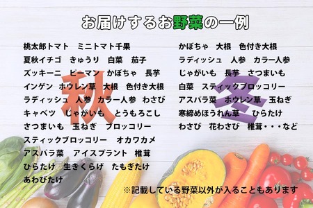 野菜ソムリエ “産直松の実の松原店長” 厳選 ！ 旬菜 朝採れ 野菜 BOX 8品 ～ 10品 ／ 人気 産直 採れたて 新鮮野菜 季節野菜 果物 くだもの やさい 国産 産地直送 仕送り 春 春野菜 夏 夏野菜 秋 秋野菜 冬 冬野菜 詰合わせ 詰め合わせ 詰め合せ 詰合せ セット おすすめ
