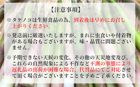 【 2026年 5月より順次発送】 岩手県 雫石町産 根曲がりたけ 1.2kg 【産直 松の実】 人気 産直 採れたて 新鮮野菜 季節野菜 旬 旬野菜 春野菜 国産 産地直送 期間限定 数量限定 仕送り 詰合わせ ヒメタケ 姫竹 根曲がり竹 山菜 野菜 おすすめ 予約 予約受付 早期予約