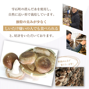 国産 岩手県産 肉厚 生しいたけ 1kg 【さくらだファーム】 椎茸 しいたけ シイタケ きのこ 茸 キノコ 野菜 やさい １ｋｇ 1キロ １キロ 出汁 だし ダシ 旨味 鍋 なべ 煮物 煮込み 七輪 焼き物 串焼き 素焼き ＢＢＱ BBQ 人気 おすすめ