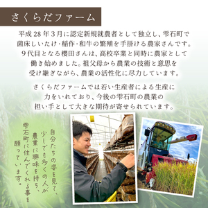 国産 岩手県産 肉厚 生しいたけ 1kg 【さくらだファーム】 椎茸 しいたけ シイタケ きのこ 茸 キノコ 野菜 やさい １ｋｇ 1キロ １キロ 出汁 だし ダシ 旨味 鍋 なべ 煮物 煮込み 七輪 焼き物 串焼き 素焼き ＢＢＱ BBQ 人気 おすすめ