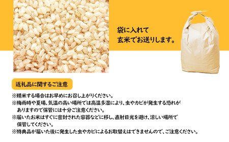 【 2026年 2月発送】 数量限定 岩手県産 あきたこまち 玄米 10kg 【ユニティファーム】 米 こめ コメ スーパーフード ヘルシー ごはん ご飯 ライス 国産 産地直送 農家直送 期間限定 おにぎり 弁当 おすすめ 人気 10キロ １０ｋｇ １０キロ 単一原料米 仕送り