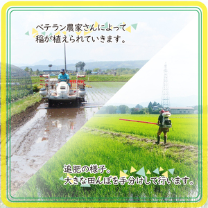 【 2026年 2月発送】 数量限定 岩手県産 あきたこまち 玄米 10kg 【ユニティファーム】 米 こめ コメ スーパーフード ヘルシー ごはん ご飯 ライス 国産 産地直送 農家直送 期間限定 おにぎり 弁当 おすすめ 人気 10キロ １０ｋｇ １０キロ 単一原料米 仕送り