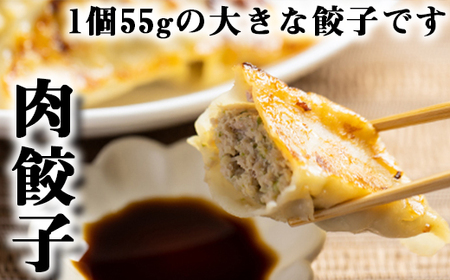 冷凍生餃子 【肉餃子12個＋えび餃子9個】 ／ 餃子 ぎょうざ ギョウザ ギョーザ 中華惣菜 【みたけ飯店の餃子】