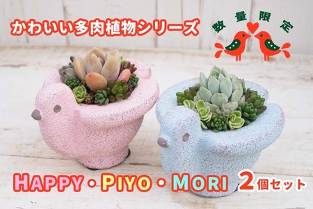 東北最大級のガーデニング専門店　厳選　かわいい多肉植物シリーズ　数量限定『HAPPY PIYOMORI～ハッピーピヨモリ～』2個セット【花工房らら倶楽部】