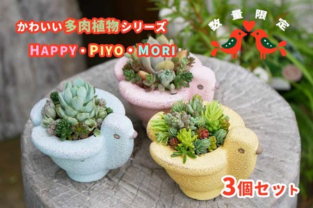 東北最大級のガーデニング専門店 厳選 かわいい多肉植物シリーズ 数量限定『HAPPY  PIYOMORI～ハッピーピヨモリ～』3個セット【花工房らら倶楽部】 | 岩手県雫石町 | ふるさと納税サイト「ふるなび」