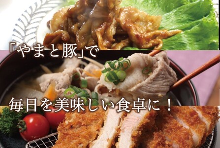 岩手県産 やまと豚５種2.6㎏ 