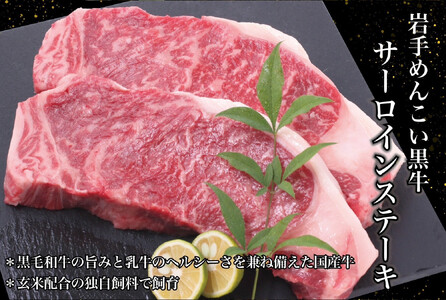 岩手県産 やまと豚&岩手めんこい黒牛 豪華ブランド肉セット 