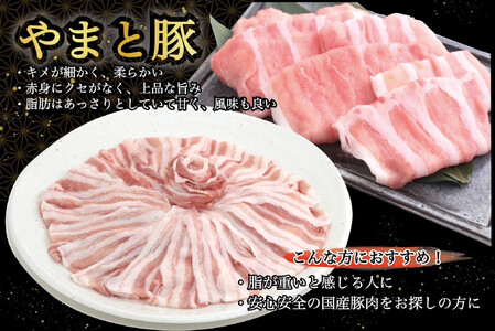 岩手県産 やまと豚&岩手めんこい黒牛 豪華ブランド肉セット 