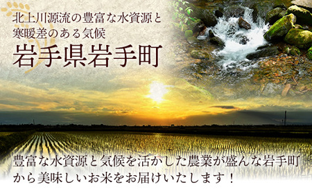 令和7年産 岩手町産 銀河のしずく 10kg(5kg×2袋) ／ 白米 ご飯 米 精米 おこめ 単一原料米 ブランド米 新鮮 おすすめ 送料無料 岩手県 岩手町