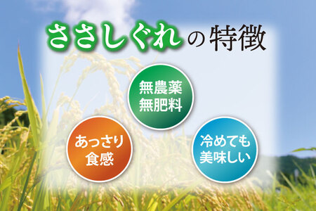 ★令和6年産★ 新米 ささしぐれ 5kg (精米) | 希少品種 新米 お米 おこめ 米 ササシグレ 無農薬 無肥料 安心 あっさり食感 冷めてもおいしい  (DE006)