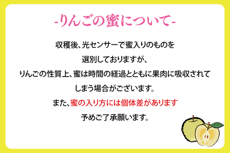 【先行予約 12月発送】数量限定 果物 りんご「冬恋」はるか約2.5kg【冬恋研究会】 (AI007)