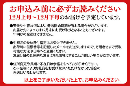 【先行予約 12月発送】数量限定 果物 りんご「冬恋」はるか約2.5kg【冬恋研究会】 (AI007)