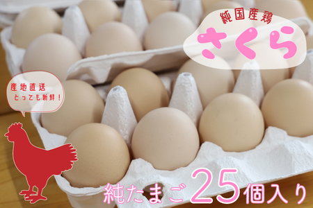 AJ009-1　純国産鶏【さくら】純たまご25個入り