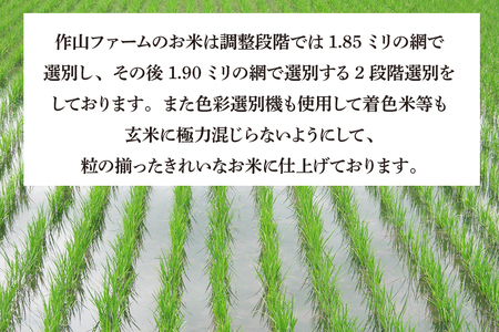 CP023 完熟夕陽米（玄米）10kg（5kg×2） ひとめぼれ 特別栽培米  生産農家直送