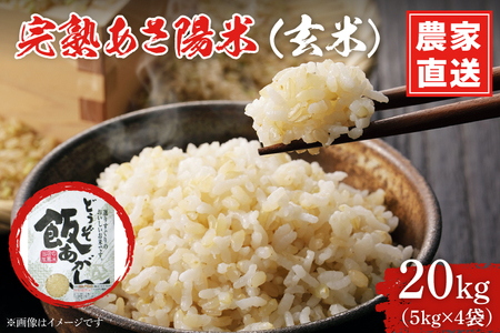 CP027 完熟あさ陽米（玄米）20kg （5kg×4）ひとめぼれ 特別栽培米  生産農家直送