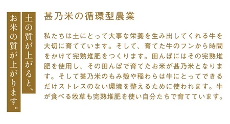 ＼新米 令和6年産／ ひとめぼれ 白米 5kg 【甚乃米 特別栽培米】 さめても美味しい おこめ 白米 岩手県 紫波町産 (AC022)