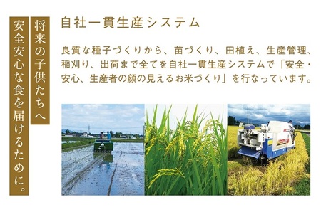 ＼新米 令和6年産／ ひとめぼれ 白米 5kg 【甚乃米 特別栽培米】 さめても美味しい おこめ 白米 岩手県 紫波町産 (AC022)