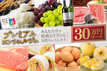 コンシェルジュ コース 紫波町 30万円 提案型 （DS000）