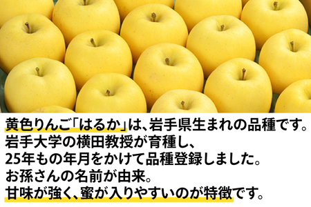 ＼先行予約／訳あり りんご はるか 糖度14度以上 選べる容量 5kg 純情はるか フルーツ 自家用 岩手 林檎 高級フルーツ 数量限定 わけありはるか【冬恋研究会】 (AI010)