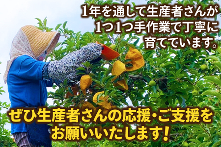 ＼先行予約／訳あり りんご はるか 糖度14度以上 選べる容量 5kg 純情はるか フルーツ 自家用 岩手 林檎 高級フルーツ 数量限定 わけありはるか【冬恋研究会】 (AI010)