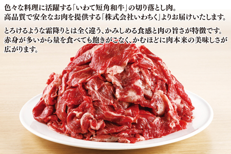 いわて短角和牛 切り落とし 500g 小分けパック 真空冷凍 | 牛肉 肉 赤身 短角 和牛 国産牛 ブランド牛 切り落し 大容量 牛丼 肉じゃが 煮込み 煮物 小分け 真空パック 数量限定 (AB043)