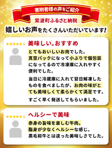 ★先行予約 2月下旬より発送★ いわて短角和牛 牛肉切り落とし 1000g / 牛肉切り落とし (AB124) 【数量限定】