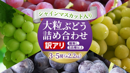 \訳あり ご家庭用/大粒ぶどう(種なし)詰合せ 合計 3~5房入 (DM004)