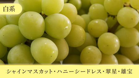 \訳あり ご家庭用/大粒ぶどう(種なし)詰合せ 合計 3~5房入 (DM004)