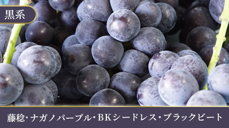 \訳あり ご家庭用/大粒ぶどう(種なし)詰合せ 合計 3~5房入 (DM004)