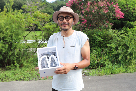 ぶどう 【2026年先行予約】キャンベルアーリー (3~4房入り) 約1.2kg EK002 ぶどう