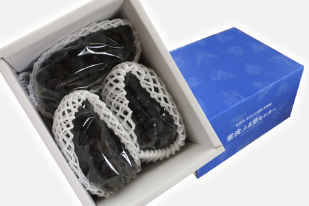 ぶどう 【2026年先行予約】キャンベルアーリー (3~4房入り) 約1.2kg EK002 ぶどう